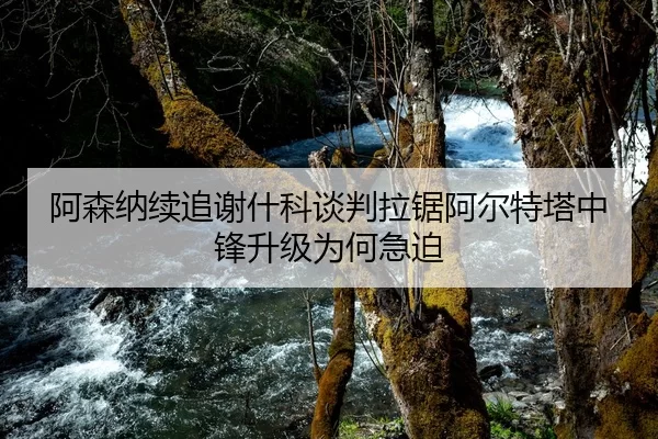 阿森纳续追谢什科谈判拉锯阿尔特塔中锋升级为何急迫