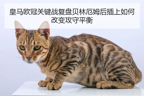huang-ma-ou-guan-guan-jian-zhan-fu-pan-bei-lin-e-mu-hou-cha-shang-ru-he-gai-bian-gong-shou-ping-heng-2-142.jpg