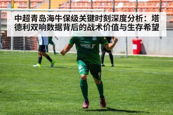 中超青岛海牛保级关键时刻深度分析:塔德利双响数据背后的战术价值与生存希望